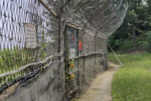 Up close and personal at the Demilitarized Zone - Ep. 247