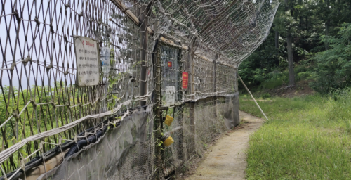 Up close and personal at the Demilitarized Zone – Ep. 247