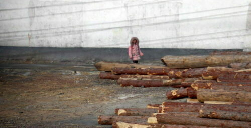 Siberian jackpot: When North Koreans paid bribes for Soviet logging jobs