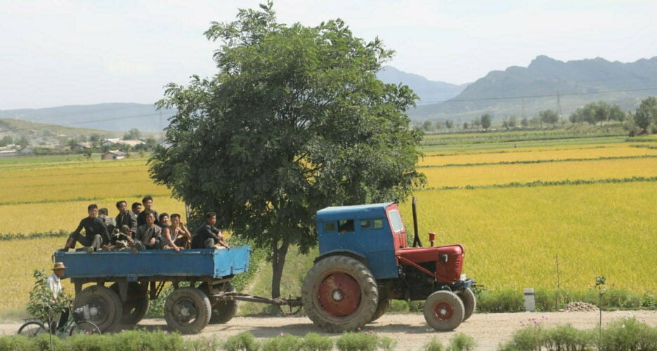 North Korean provinces see ‘dramatic’ decline in crop health: report