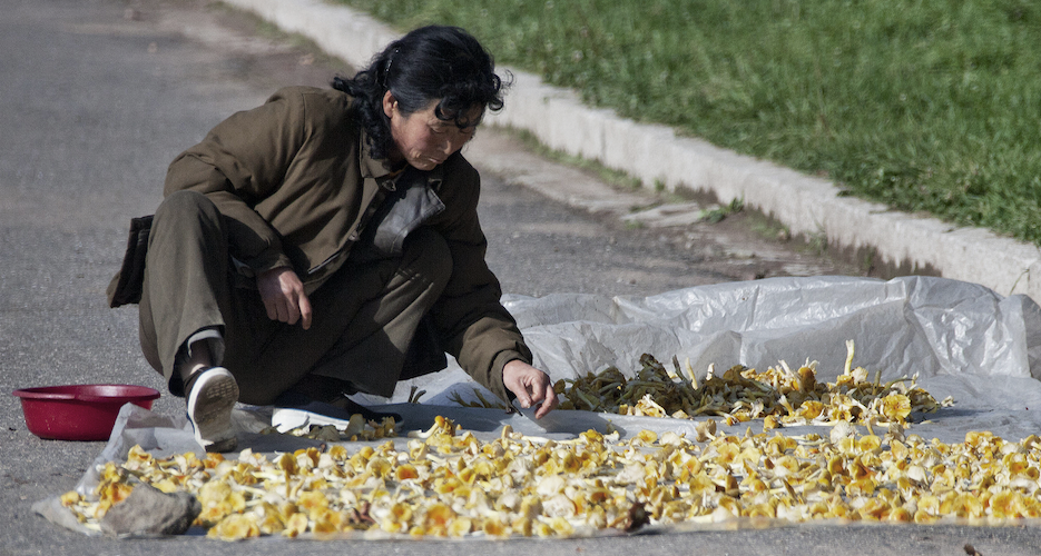 Plenum’s agriculture focus suggests dire food shortages in North Korea: Analysts