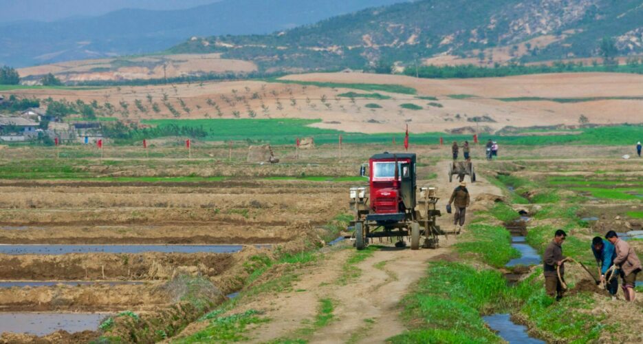 North Korea to send 30 ‘technicians’ to Guinea for agricultural cooperation