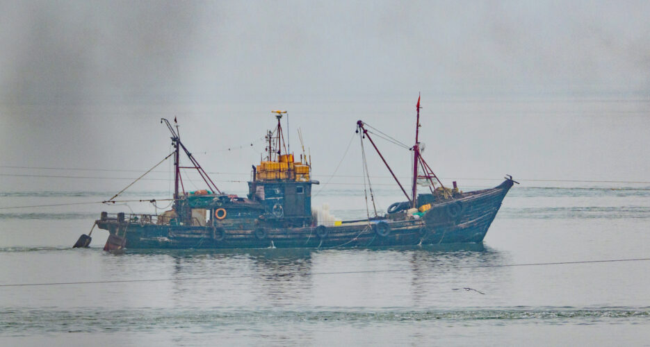 North Korean waters see fewer intrusions as China’s fishing season resumes: Data