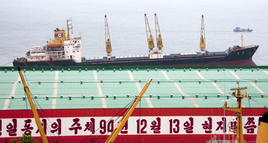 UN sanctions committee should consider North Korea export exemptions: Report