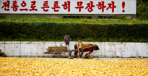 Russian Far East region says it sent nearly 3K tons of corn to North Korea