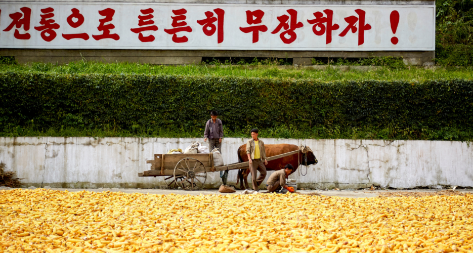 Russian Far East region says it sent nearly 3K tons of corn to North Korea