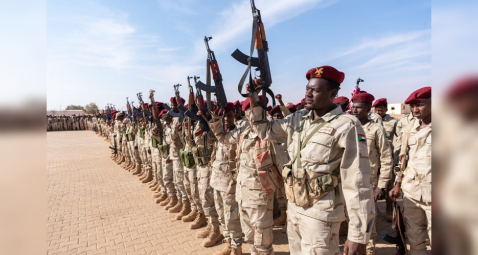 North Korean weapons could be contributing to bloodshed in Sudan, experts say