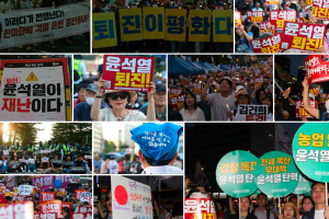 North Korean propagandists amplify anti-Yoon protests in South