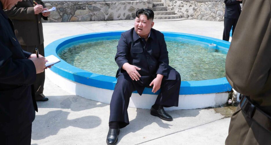 Ask a North Korean: Why are there so many farms raising the slippery loach fish?