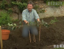 North Korean TV censors blue jeans while airing British gardening show
