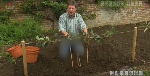 North Korean TV censors blue jeans while airing British gardening show
