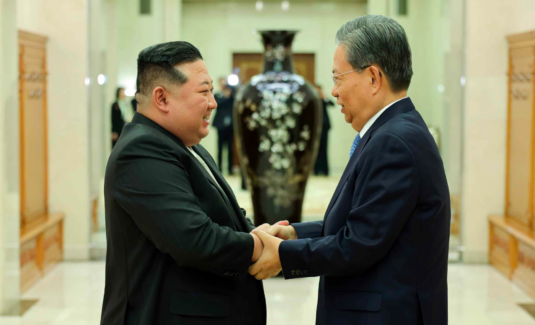 Kim Jong Un holds talks with top Chinese official as two sides celebrate ties