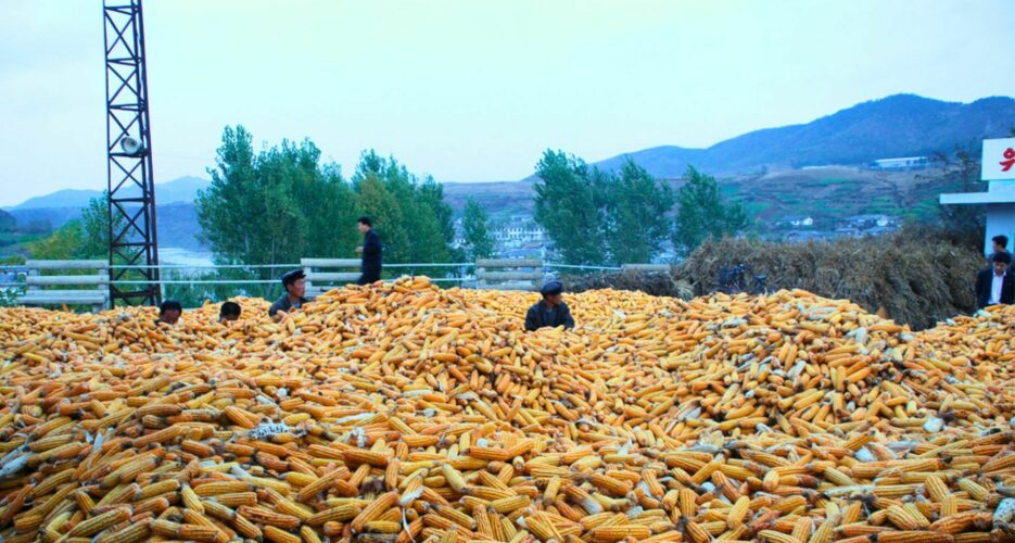 Russia exports 2K tons of flour and corn to North Korea amid signs of shortages