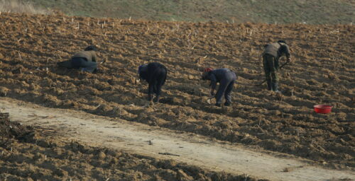 Drought has little effect on N.Korean food imports