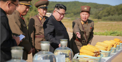 Kim Jong Un’s September activities: portraying calm under pressure