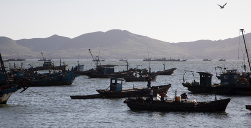 North Korean fishing boats may be resuming greater activity in East Sea: Imagery