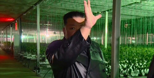 Imagery reveals North Korea’s deceptions about ‘world’s largest’ greenhouse farm