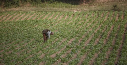 A North Korean ministry returns from dead, and what it means for farming reform